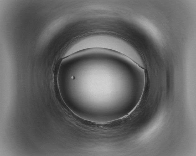 X0000113110387200909041250