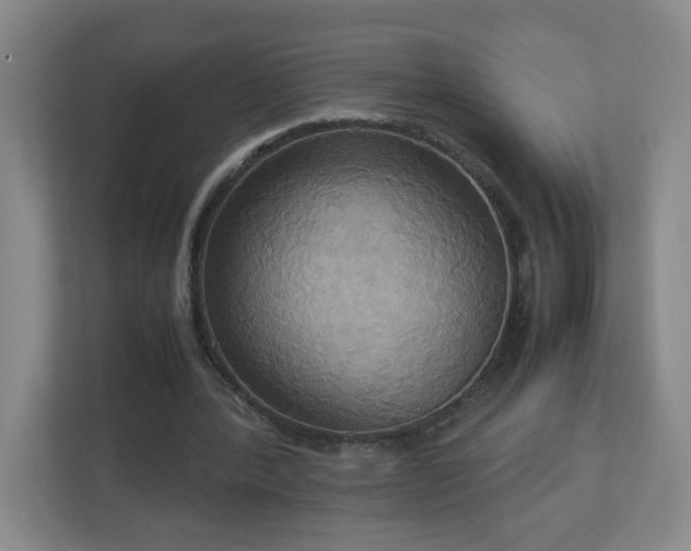 X0000113110388200909041250
