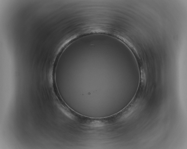 X0000113110390200909041250