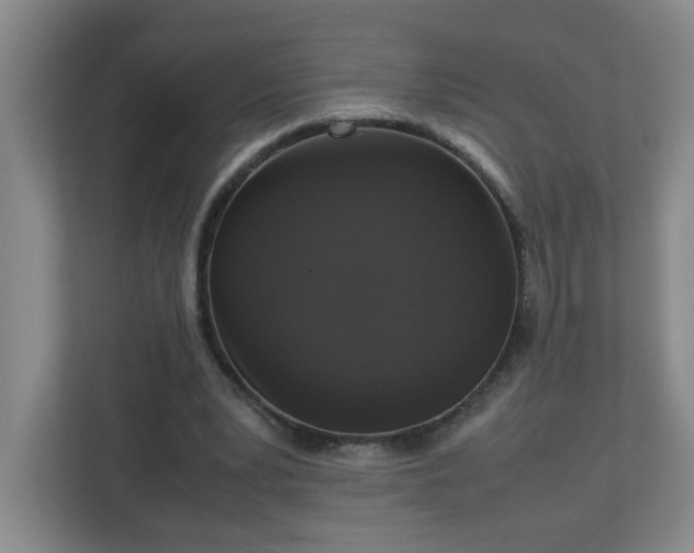X0000113110391200909041250