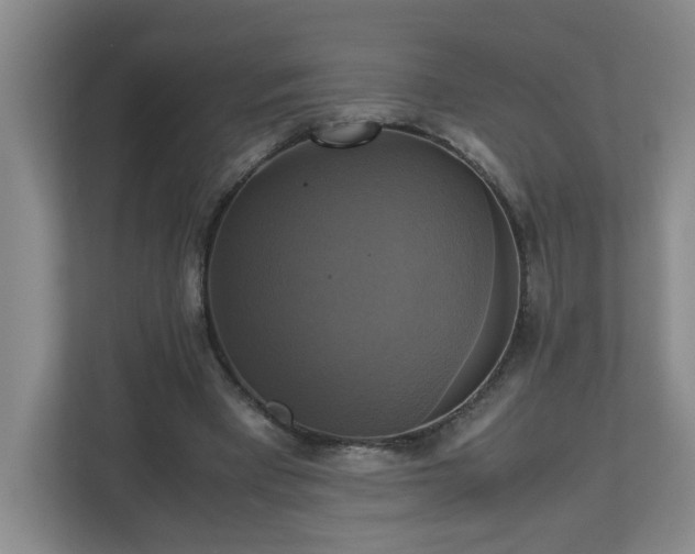 X0000113110393200909041250