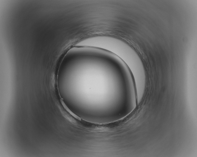 X0000113110397200909041250