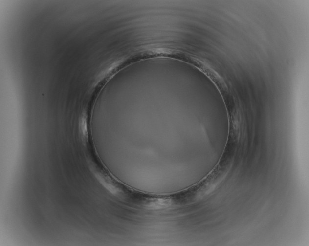 X0000113110398200909041250