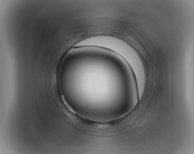 X0000113110401200909041250