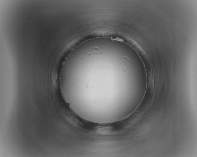 X0000113110403200909041250