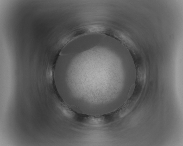 X0000113110405200909041250