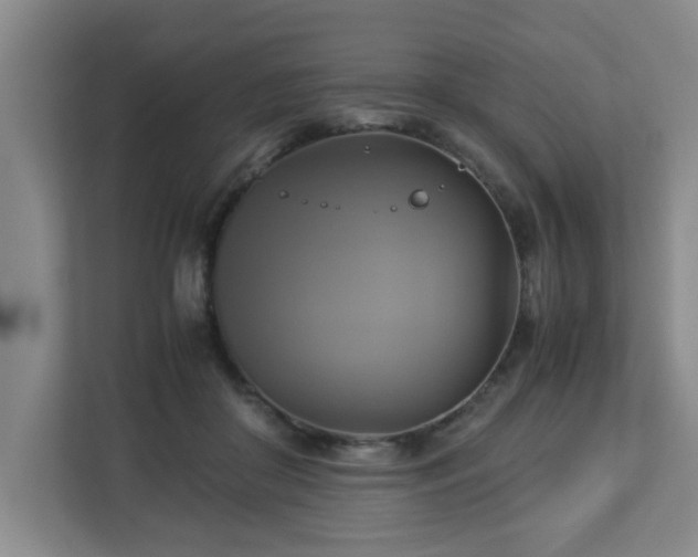 X0000113110410200909041250