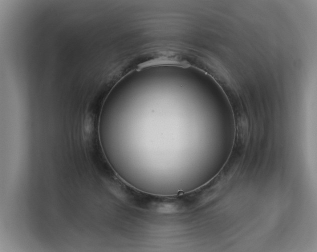 X0000113110412200909041250