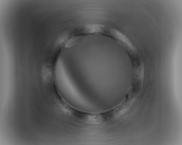 X0000113110415200909041250