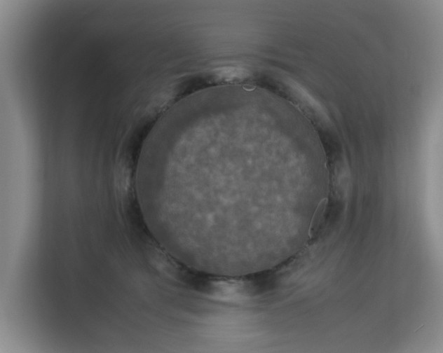 X0000113110417200909041250