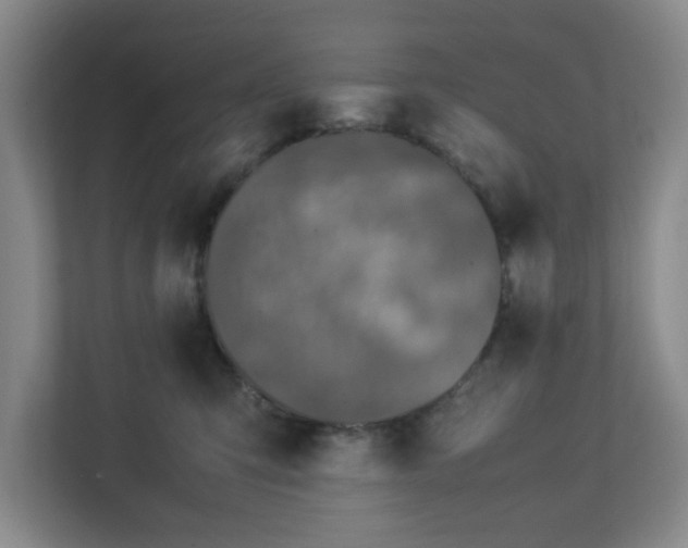 X0000113110423200909041250