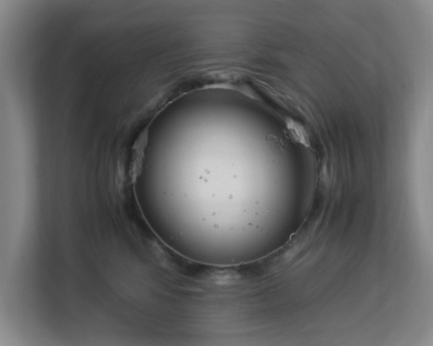 X0000113110424200909041250