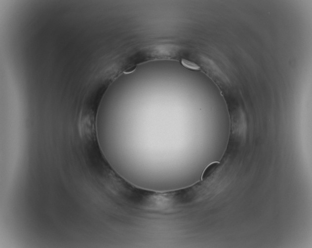 X0000113110425200909041250