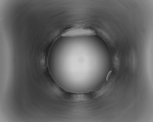 X0000113110428200909041250