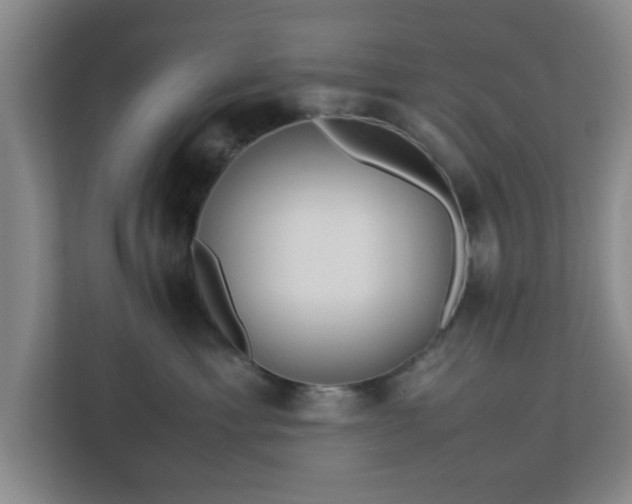 X0000113110429200909041250