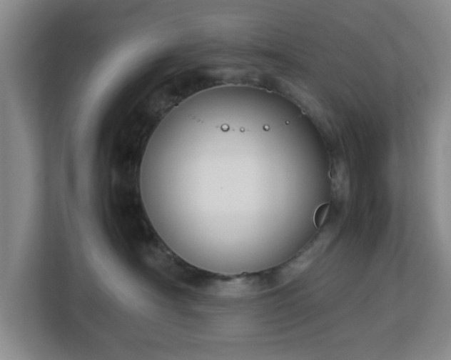 X0000113110430200909041250