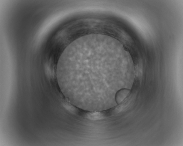X0000113110431200909041250