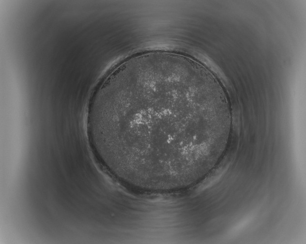 X0000113110434200909041249