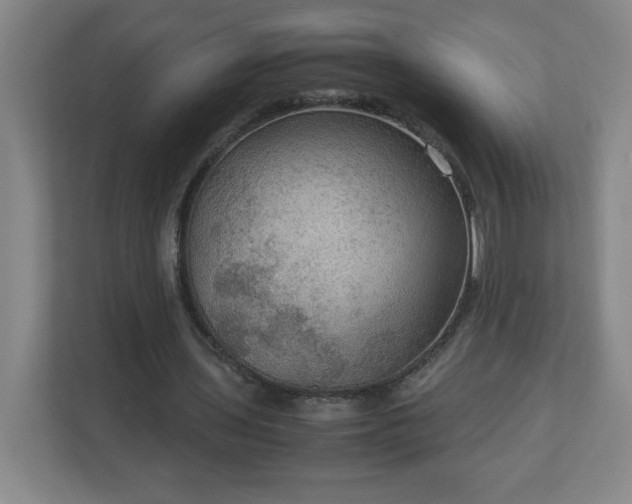 X0000113110435200909041249