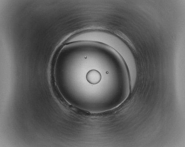 X0000113110436200909041249