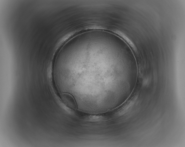 X0000113110437200909041249