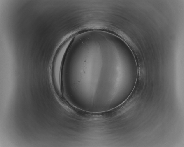 X0000113110438200909041249