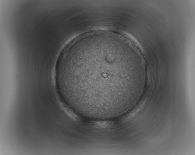 X0000113110439200909041249