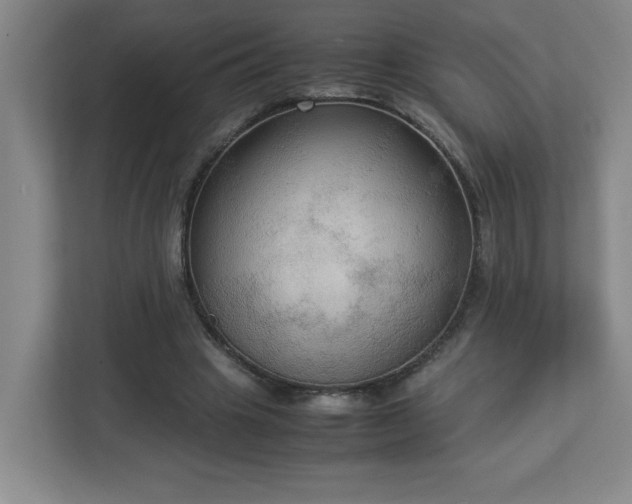 X0000113110441200909041249