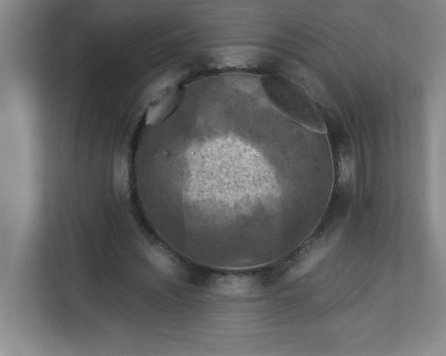X0000113110444200909041249