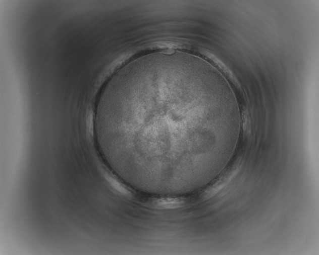 X0000113110445200909041249