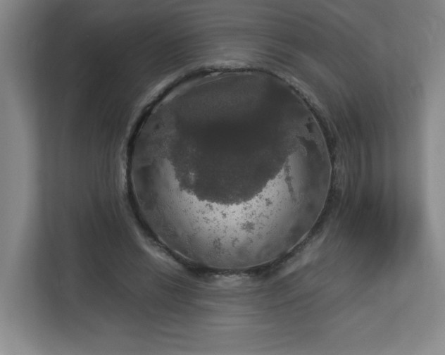 X0000113110446200909041249