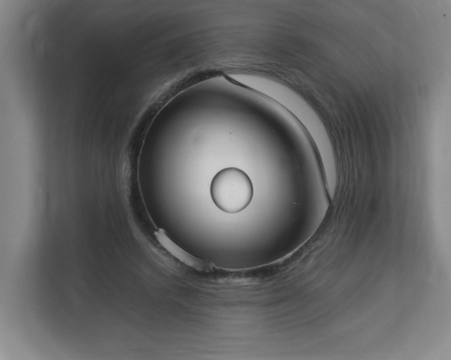 X0000113110448200909041249
