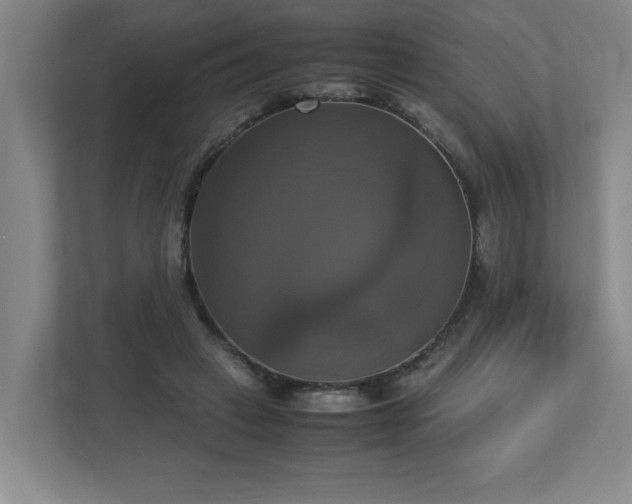 X0000113110449200909041249