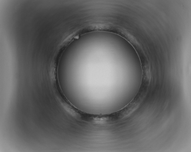 X0000113110450200909041249