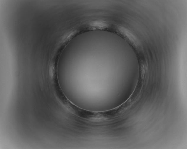 X0000113110451200909041249