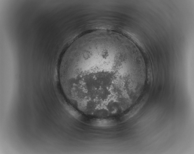 X0000113110453200909041249