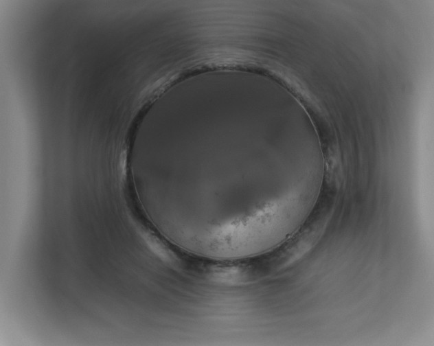 X0000113110454200909041249