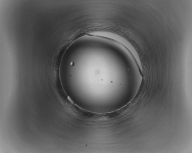 X0000113110456200909041249