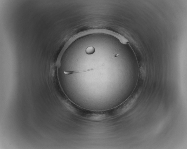 X0000113110458200909041249