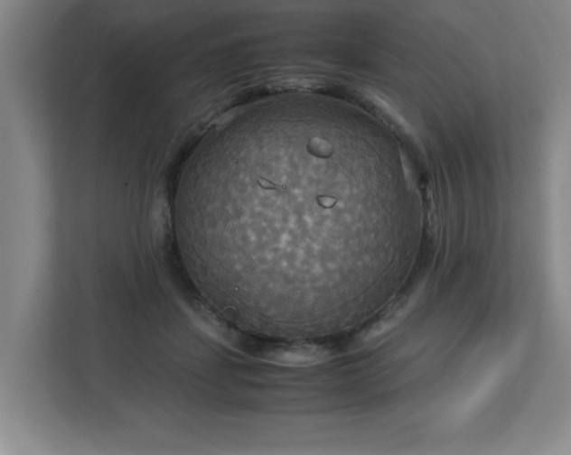 X0000113110459200909041249