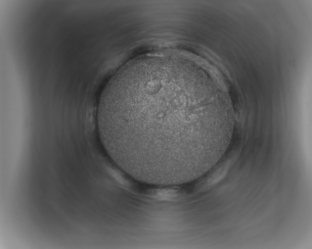 X0000113110462200909041249