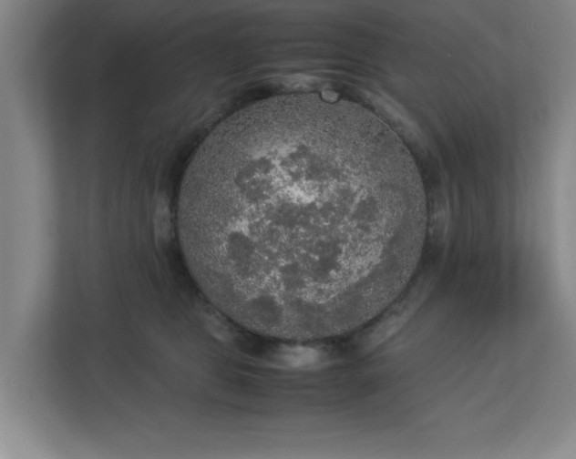 X0000113110469200909041249
