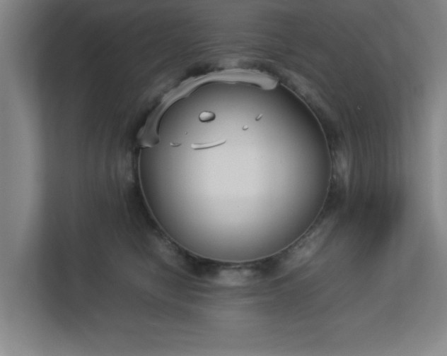 X0000113110470200909041249