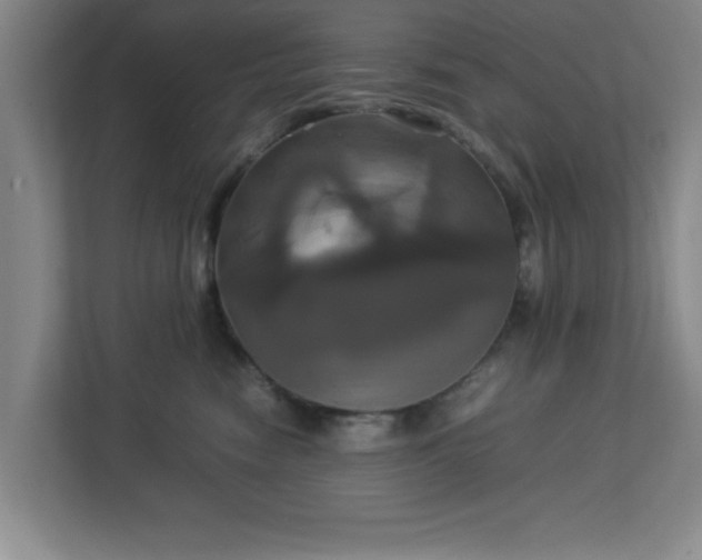 X0000113110474200909041249