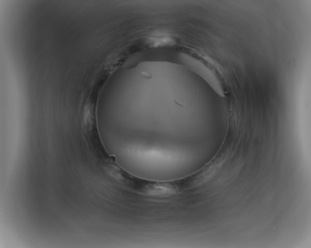 X0000113110475200909041249