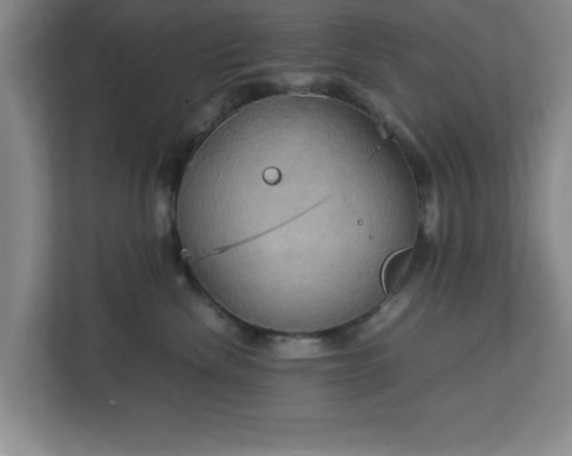 X0000113110476200909041249