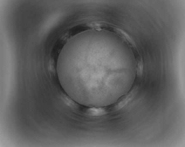 X0000113110477200909041249