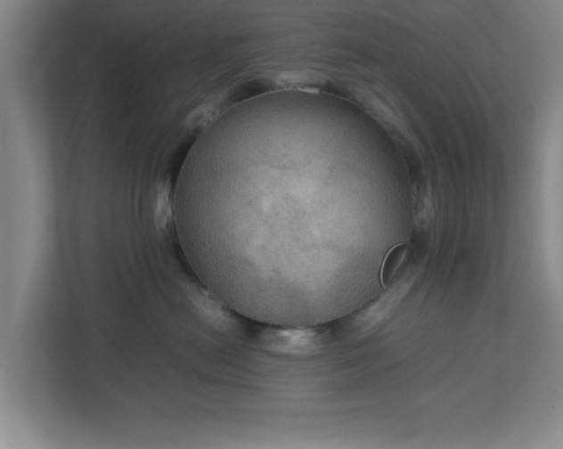 X0000113110478200909041250