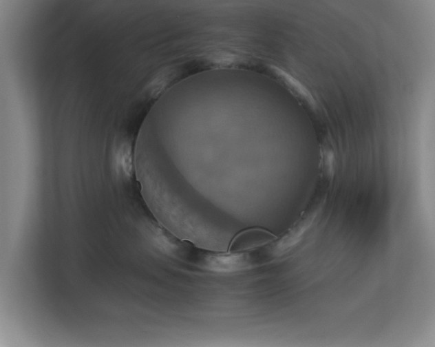 X0000113110479200909041250