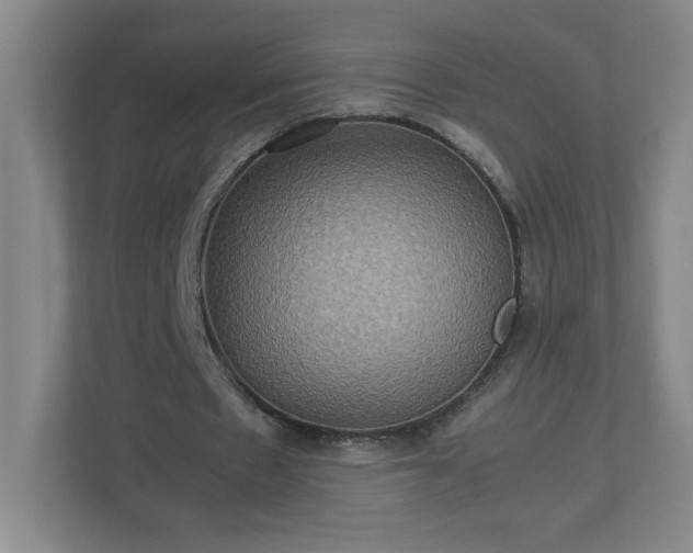 X0000113110481200909041249